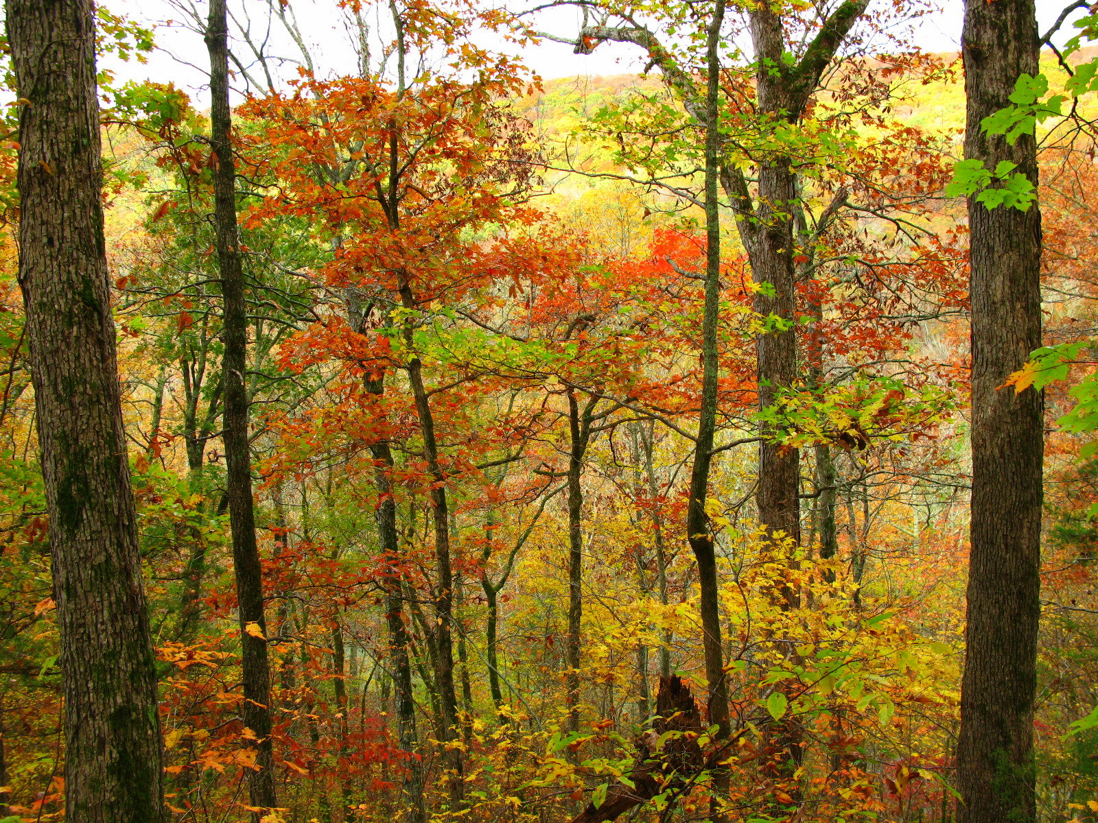 Autumn hike on the Ozark Highlands Trail in Arkansas